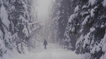 menino solitário na estrada de neve na floresta. a criança caminha sozinha na estrada nevada da floresta de costas, árvores gigantes e floresta nebulosa chamam a atenção. video