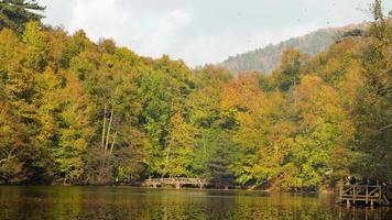 Fall leaves flying. Lake and forest view. Weekend trip. Yellow, green, orange, blue, brown. video