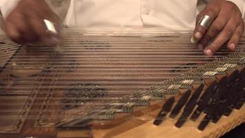 Law musical instrument. video