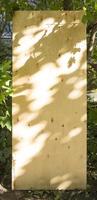 Close-up of a black leaf shadow from the sun light on a brown plywood surface. photo