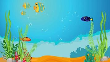 Under The Sea Animation Stock Video Footage for Free Download