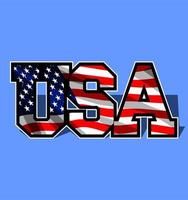 the inscription usa vector