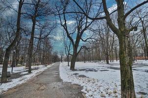 Park in Warsaw of Poland photo