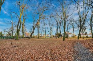 Park with leaves in Wschowa photo