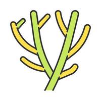 Pencil cactus color icon. African desert plant. Indian tree spurge. Succulent. Milk bush. Euphorbia tirucalli. Isolated vector illustration