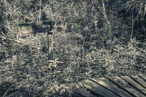 Muyil Quintana Roo Mexico 2022 Sian Kaan National Park information entrance welcome sing board Mexico. photo