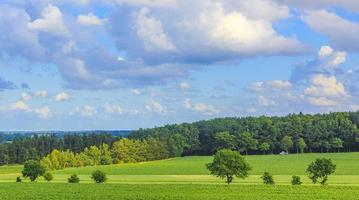 North German agricultural field forest trees nature landscape panorama Germany. photo