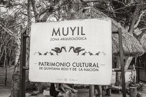 Muyil Quintana Roo Mexico 2022 Muyil temple ruins information entrance welcome sing board in Mexico. photo