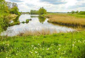 Natural panorama view with moor water coast trees forest Germany.