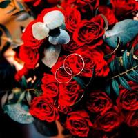 Red rose and weddung ring photo