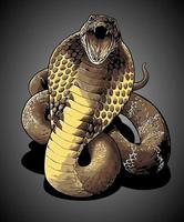 gaping cobra front view vector