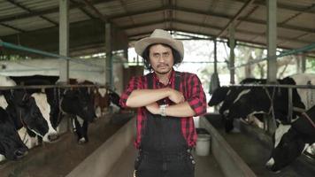 retrato de um homem sênior olhando para a câmera na pecuária. trabalhador agrícola bem sucedido se preparando para alimentar vacas. video