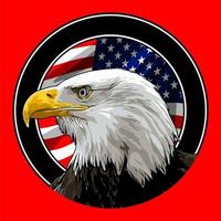 eagle head on american flag