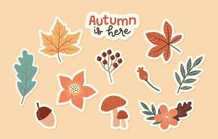 colección de pegatinas florales de otoño vector