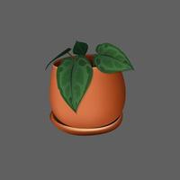 minimalist beautiful pot  Vase vector