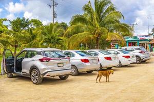 Muyil Quintana Roo Mexico 2022 Parking lot with cars dogs to Muyil Mayan ruins Mexico. photo