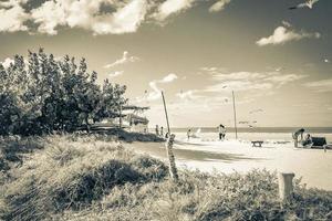 Holbox Quintana Roo Mexico 2021 Beautiful Holbox island beach sandbank panorama palapa sun loungers Mexico. photo