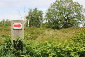 North German red arrow directional sign meadow forest nature Germany. photo