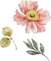 set of watercolor illustrations pink flower and green leaves on a white background.