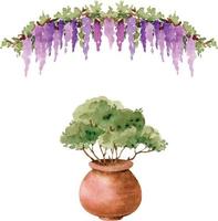 conjunto de flores de jardín en macetas y plantas, ilustración acuarela.