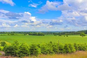 North German agricultural field forest trees nature landscape panorama Germany. photo