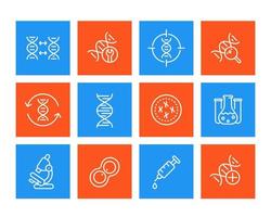 genetics, dna modification, replication, genetic research line icons set vector