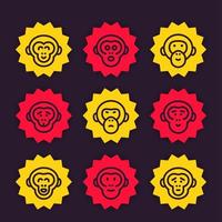 simios, monos, chimpancés iconos de línea vectorial vector