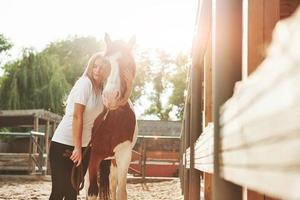Beautiful sunlight. Happy woman with her horse on the ranch at daytime photo
