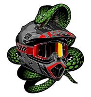 Helmet and snake vector