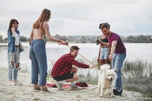 With cute dog. Group of people have picnic on the beach. Friends have fun at weekend time photo