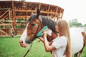 acicalar al animal. mujer feliz con su caballo en el rancho durante el día foto