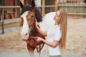 su hobby se convirtió en un trabajo. mujer feliz con su caballo en el rancho durante el día foto