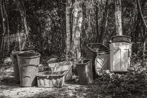 Trash waste garbage cans in the jungle in Mexico. photo