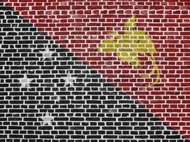Flag of Papua New Guinea painted on a brick wall photo