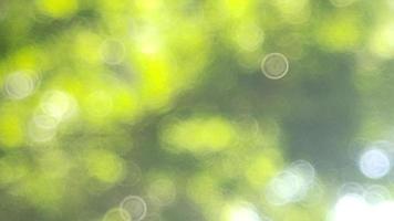 Bokeh abstract natures tree green refreshing background suitable for text fill graphics design decorative agriculture photo