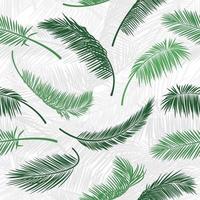 hojas de palmeras verdes tropicales en patrones sin fisuras. patrón vectorial para diseño de impresión, papel tapiz, fondos de sitio, postal, textil, tela. ilustración vectorial patrón de hoja de palma sin costura vintage. vector