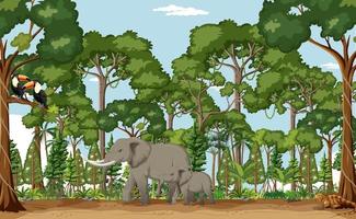 Forest scene with various wild animals vector
