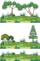 Isolated forests on white background vector