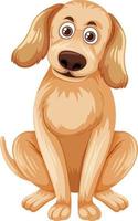 Golden retriever dog isolated vector