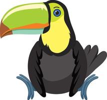 Cute toucan in flat style isolated vector