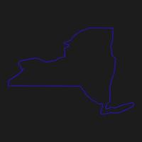 mapa de nueva york ilustrado vector