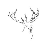 deer vector sketch