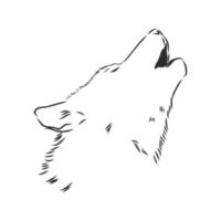 dibujo vectorial de lobo vector