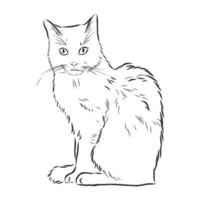 bosquejo del vector del gato