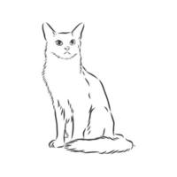 bosquejo del vector del gato