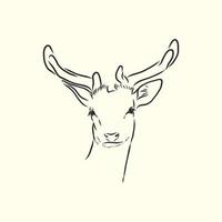 deer vector sketch