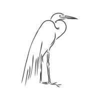 heron vector sketch