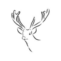 deer vector sketch