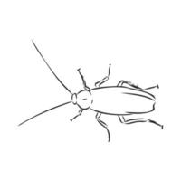dibujo vectorial de cucaracha vector
