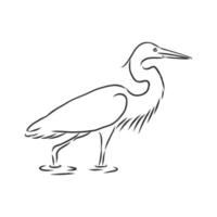 heron vector sketch